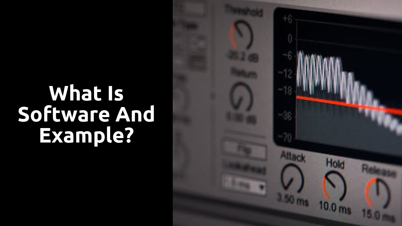 What is software and example?